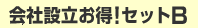 会社設立お得!セットB