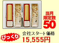 会社設立お得!セットA