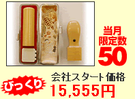 会社設立お得!セットB