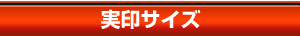����̖�����Ӂ@����T�C�Y