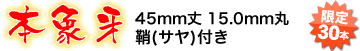 �{�ۉ�45mm��15.0mm�ۏ⁖��i�T���j�t